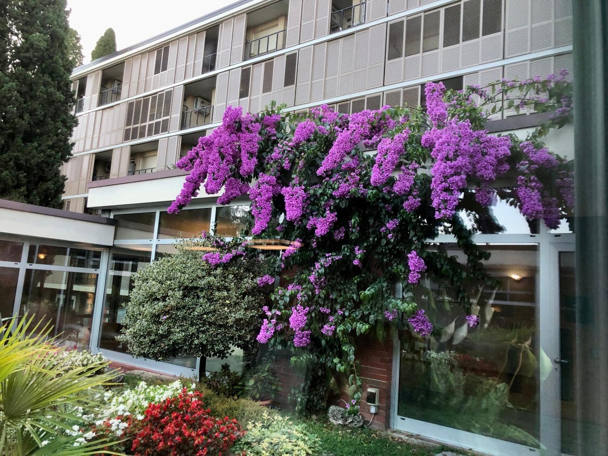 Residence Villa Alba Gardone Riviera Ngoại thất bức ảnh